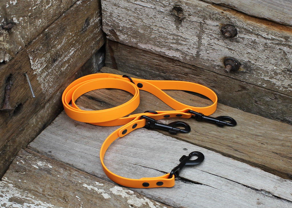 Biothane Safety Backup Lead 3/4" 19mm