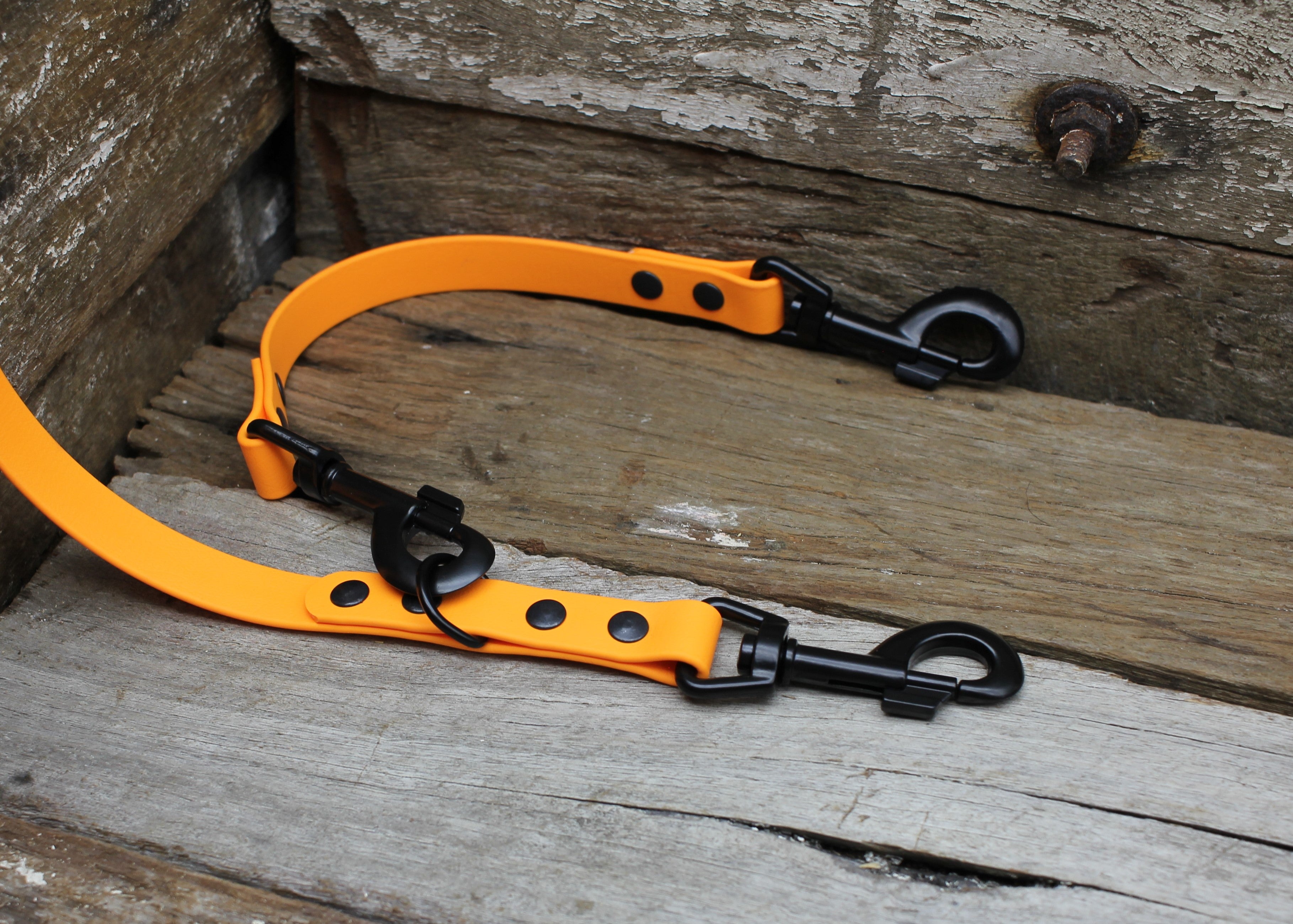 Biothane Safety Backup Lead 3/4" 19mm