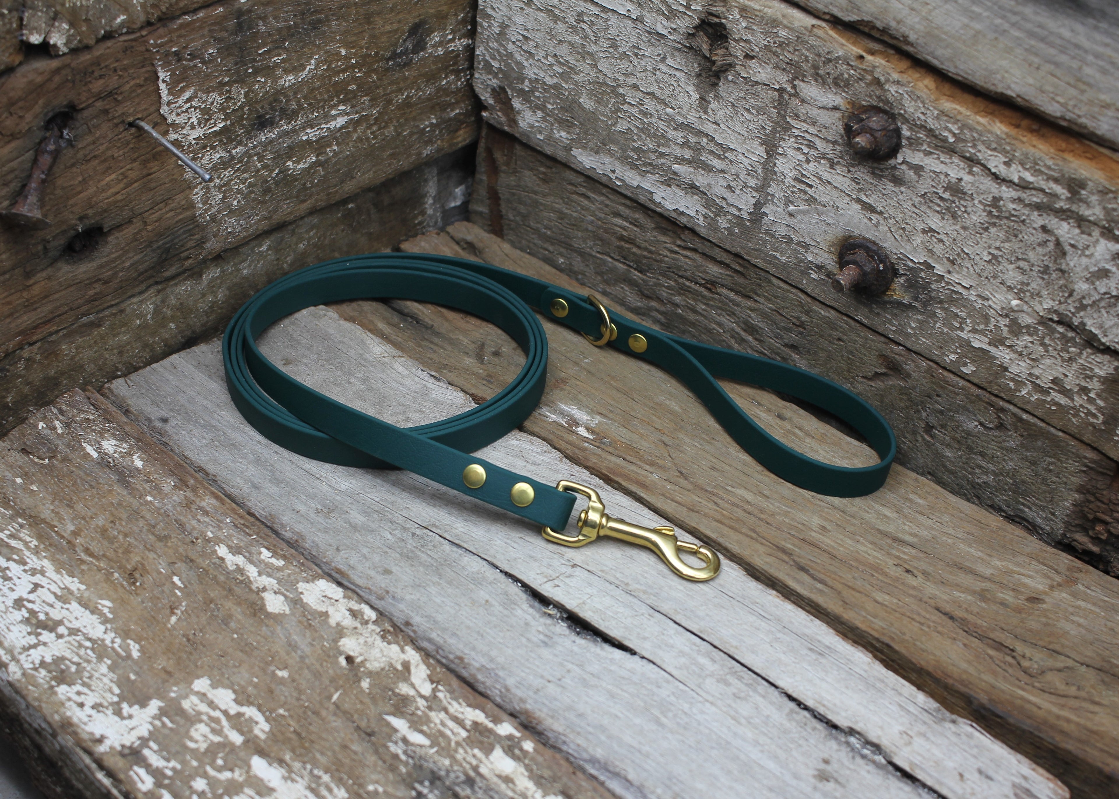 Biothane Lead 1/2" 13mm