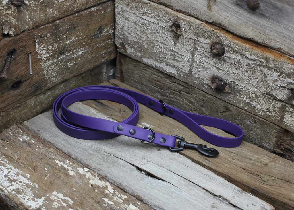 Biothane Safety Backup Lead 3/4" 19mm