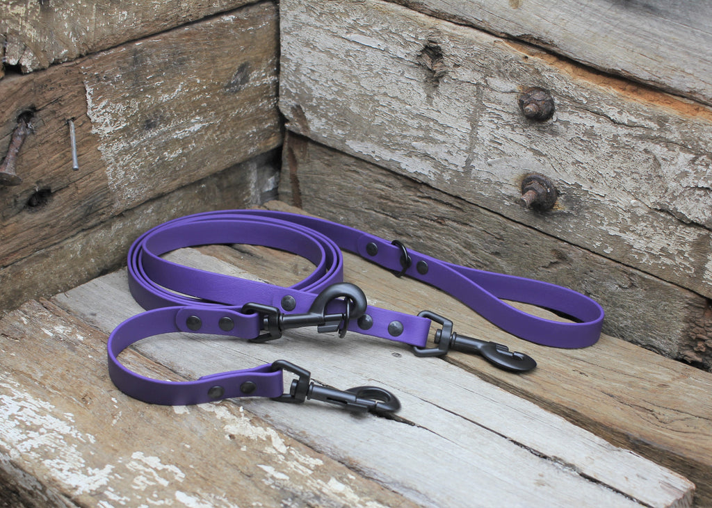 Biothane Safety Backup Lead 3/4" 19mm