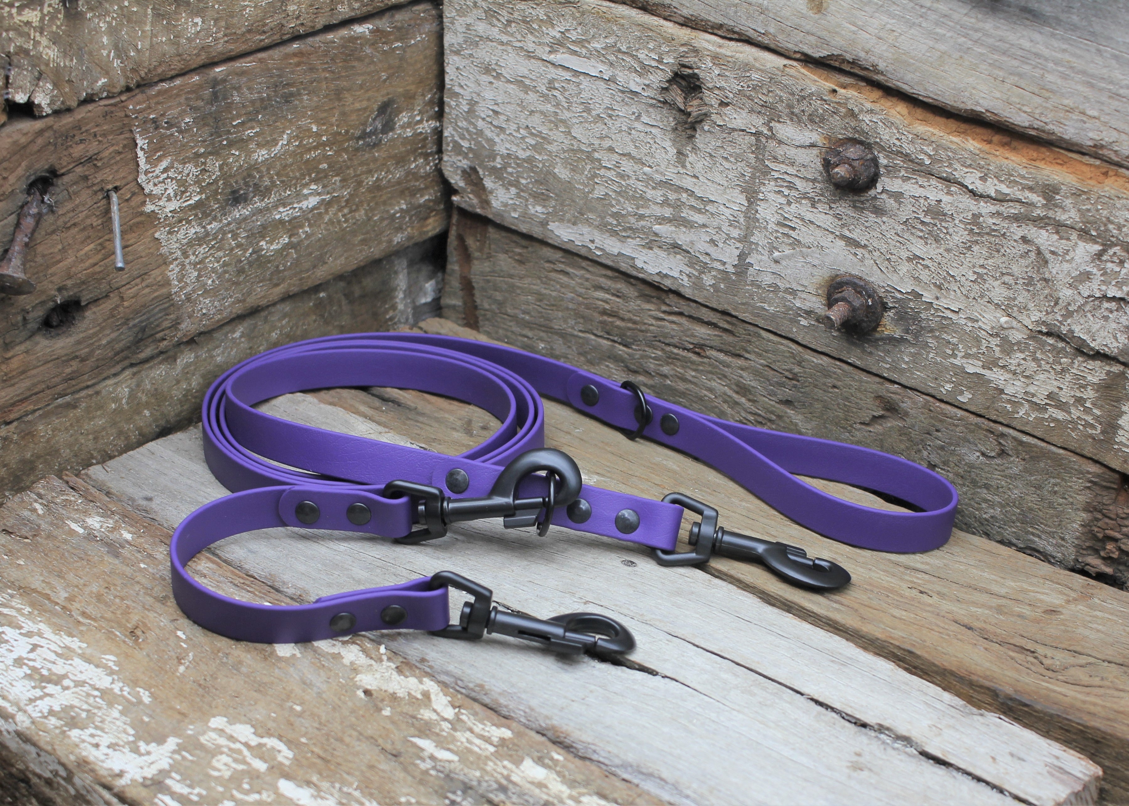 Biothane Safety Backup Lead 3/4" 19mm