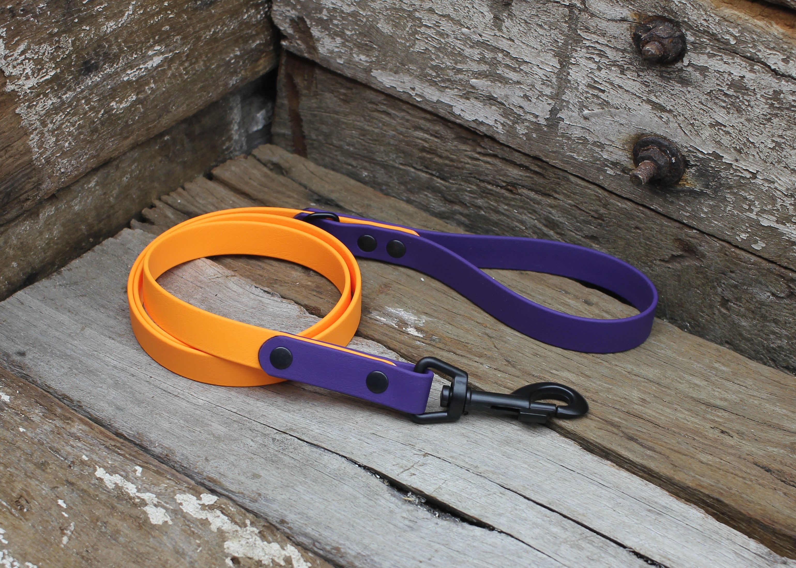Biothane Lead Two Tone 3/4" 19mm