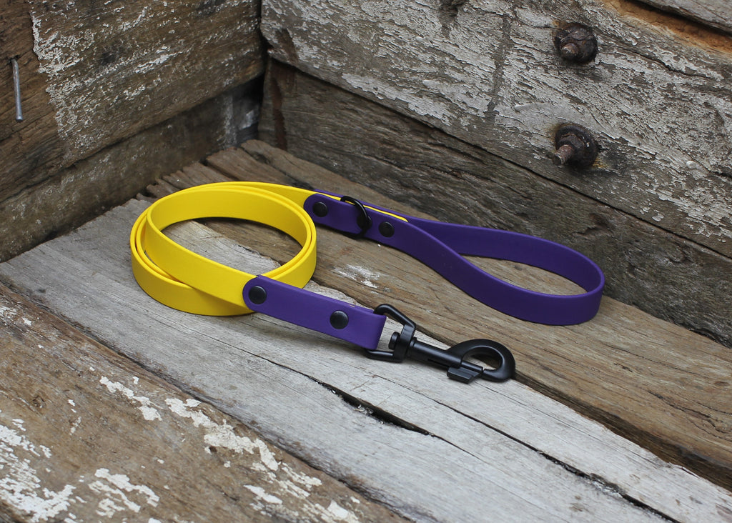 Biothane Lead Two Tone 3/4" 19mm