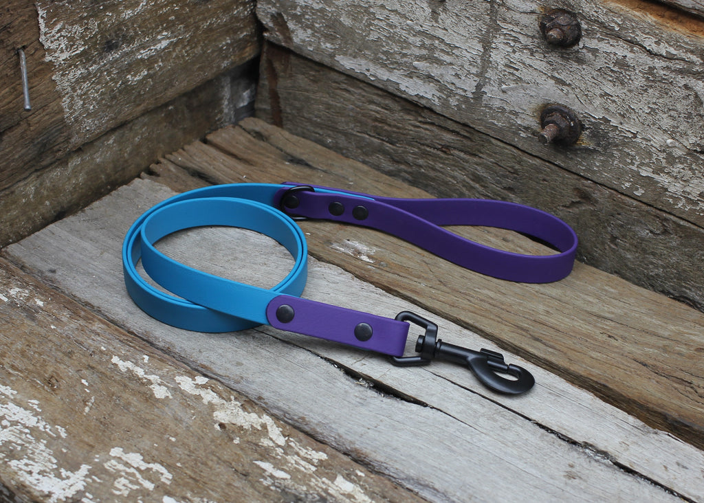 Biothane Lead Two Tone 3/4" 19mm