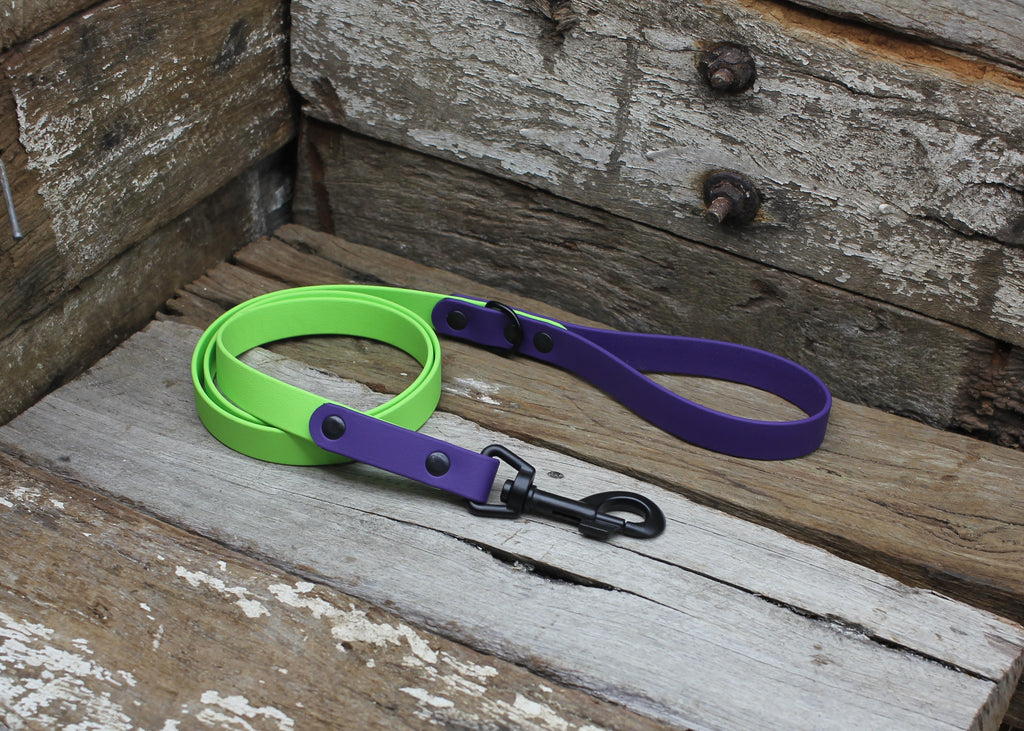 Biothane Lead Two Tone 3/4" 19mm