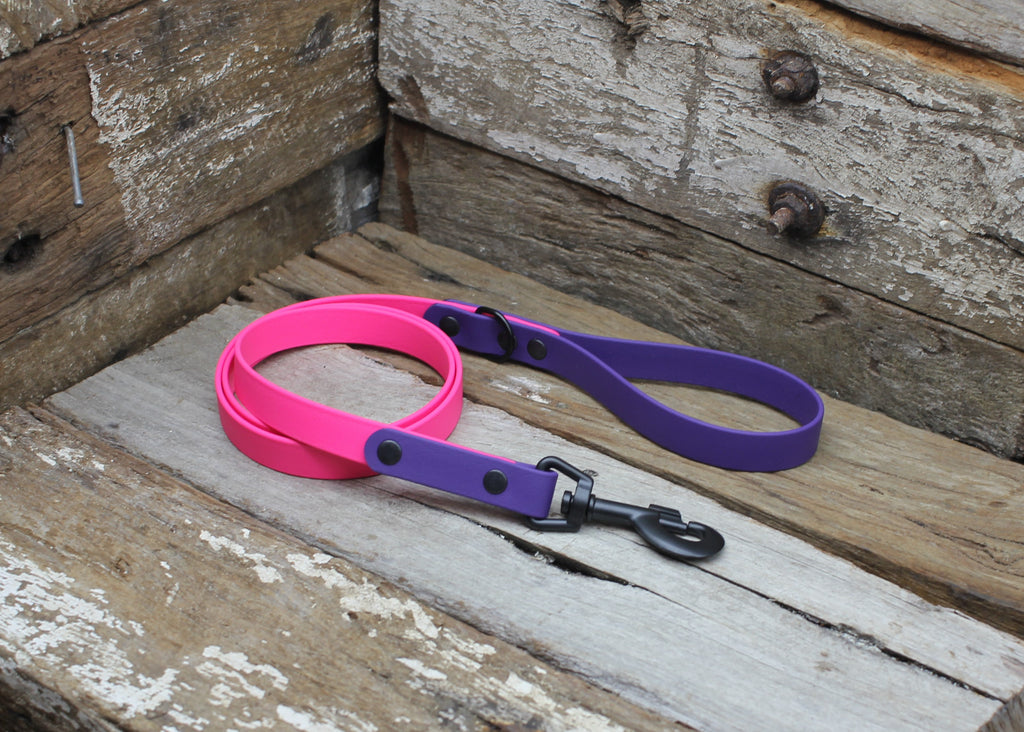 Biothane Lead Two Tone 3/4" 19mm