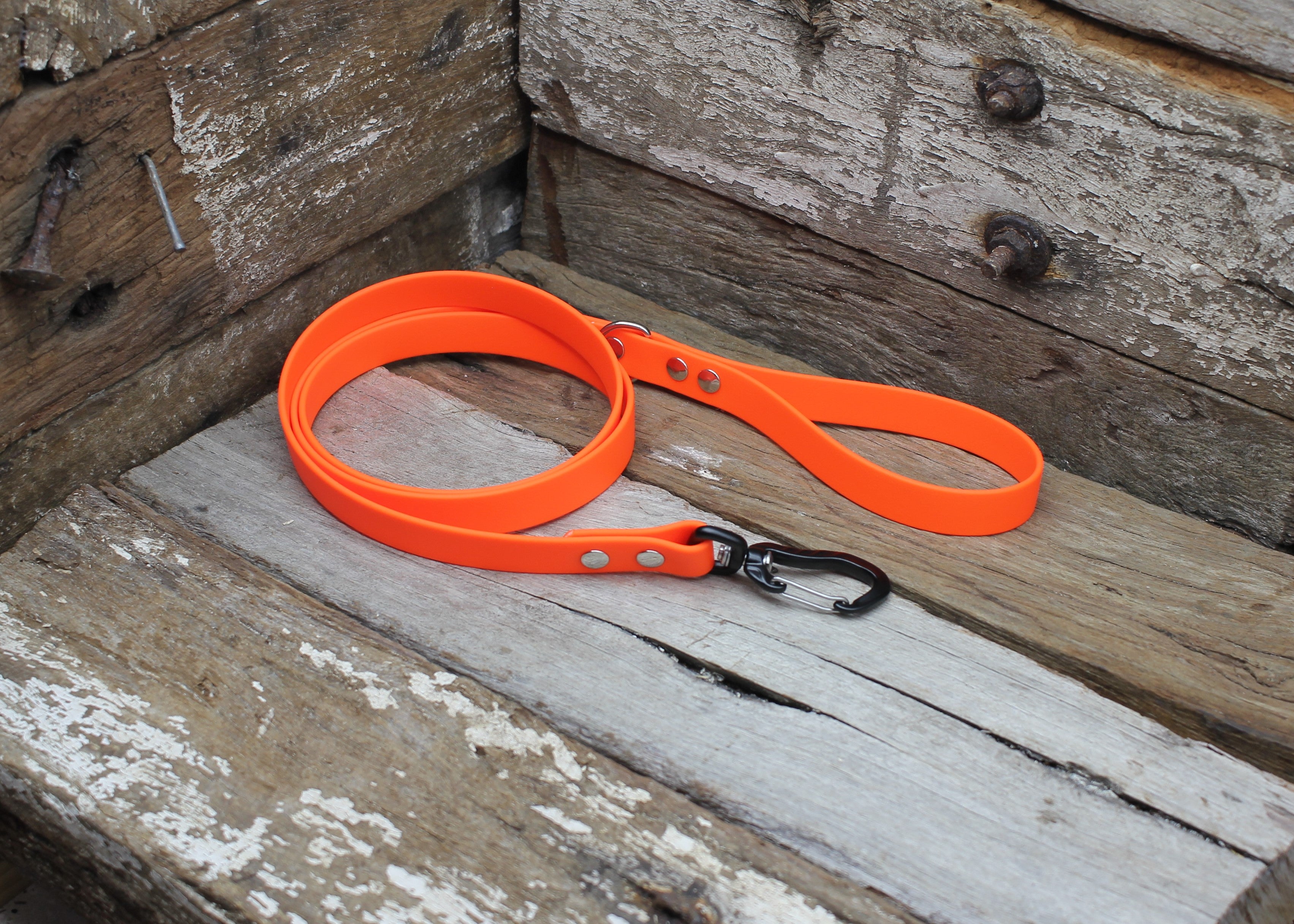 Biothane Lead 3/4" 19mm