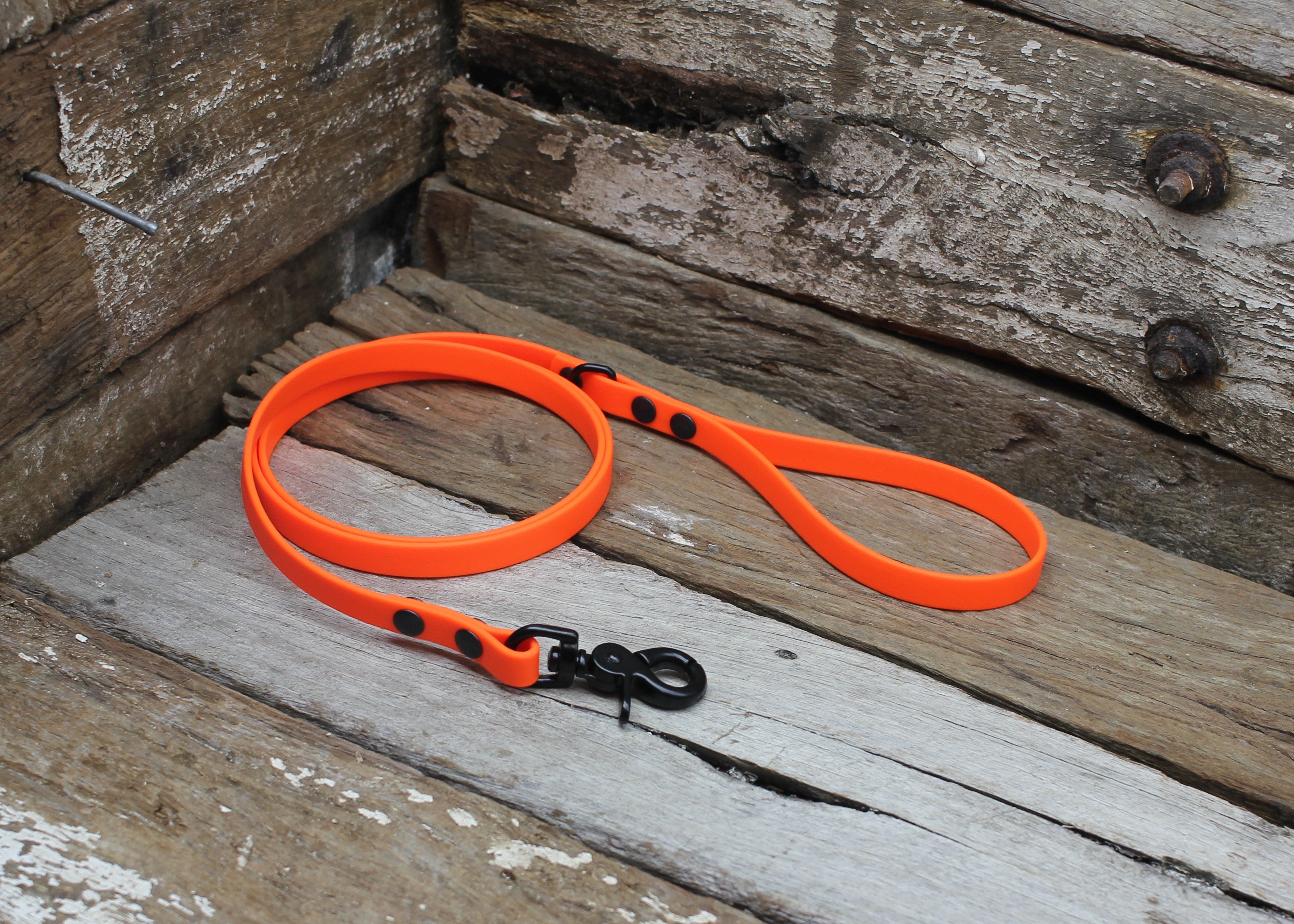Biothane Lead 1/2" 13mm