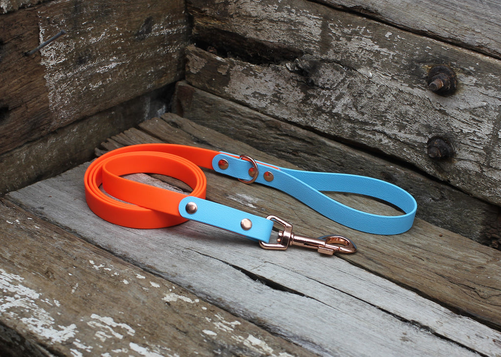 Biothane Lead Two Tone 3/4" 19mm