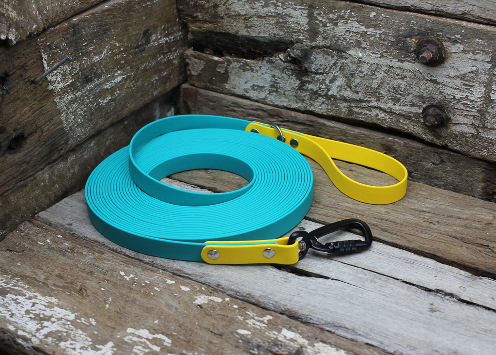 Biothane Long Line Two Tone 3/4" 19mm Waterproof 3m 4m 5m 6m 8m 10m 12m