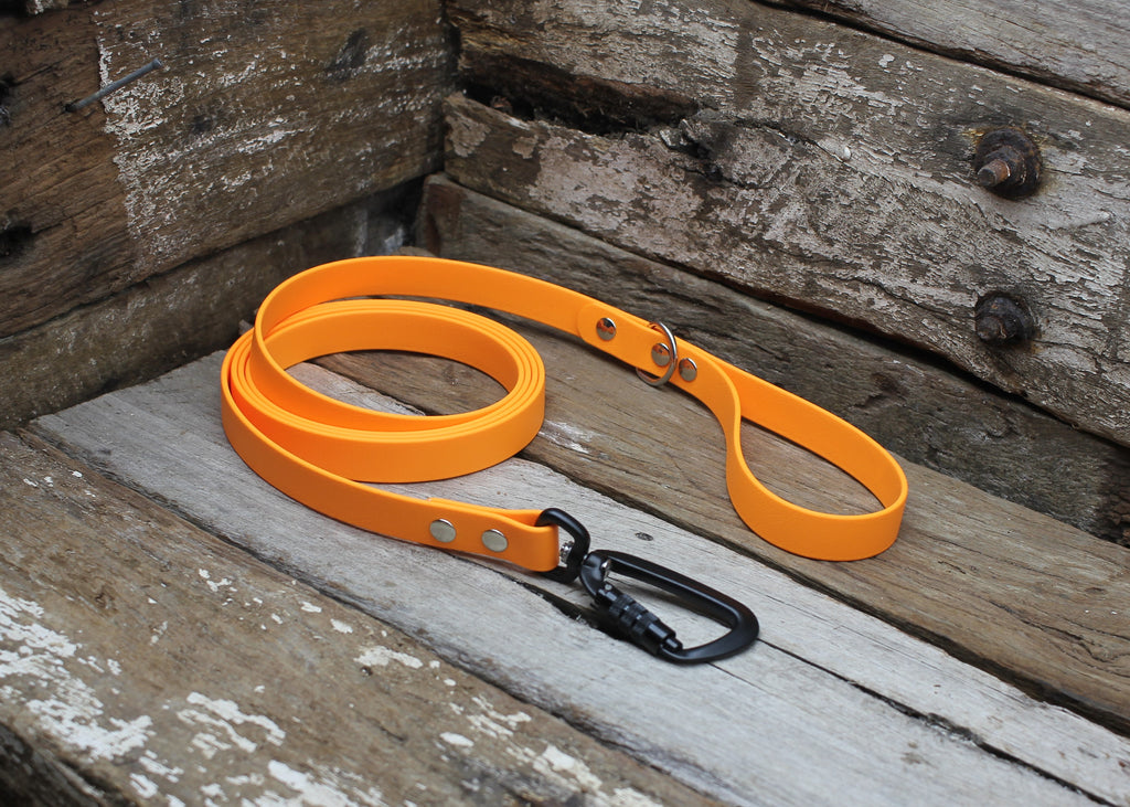 Biothane Lead 3/4" 19mm