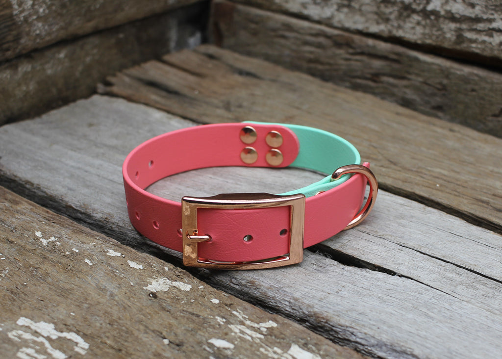 Biothane Collar Two Tone 1" 25mm