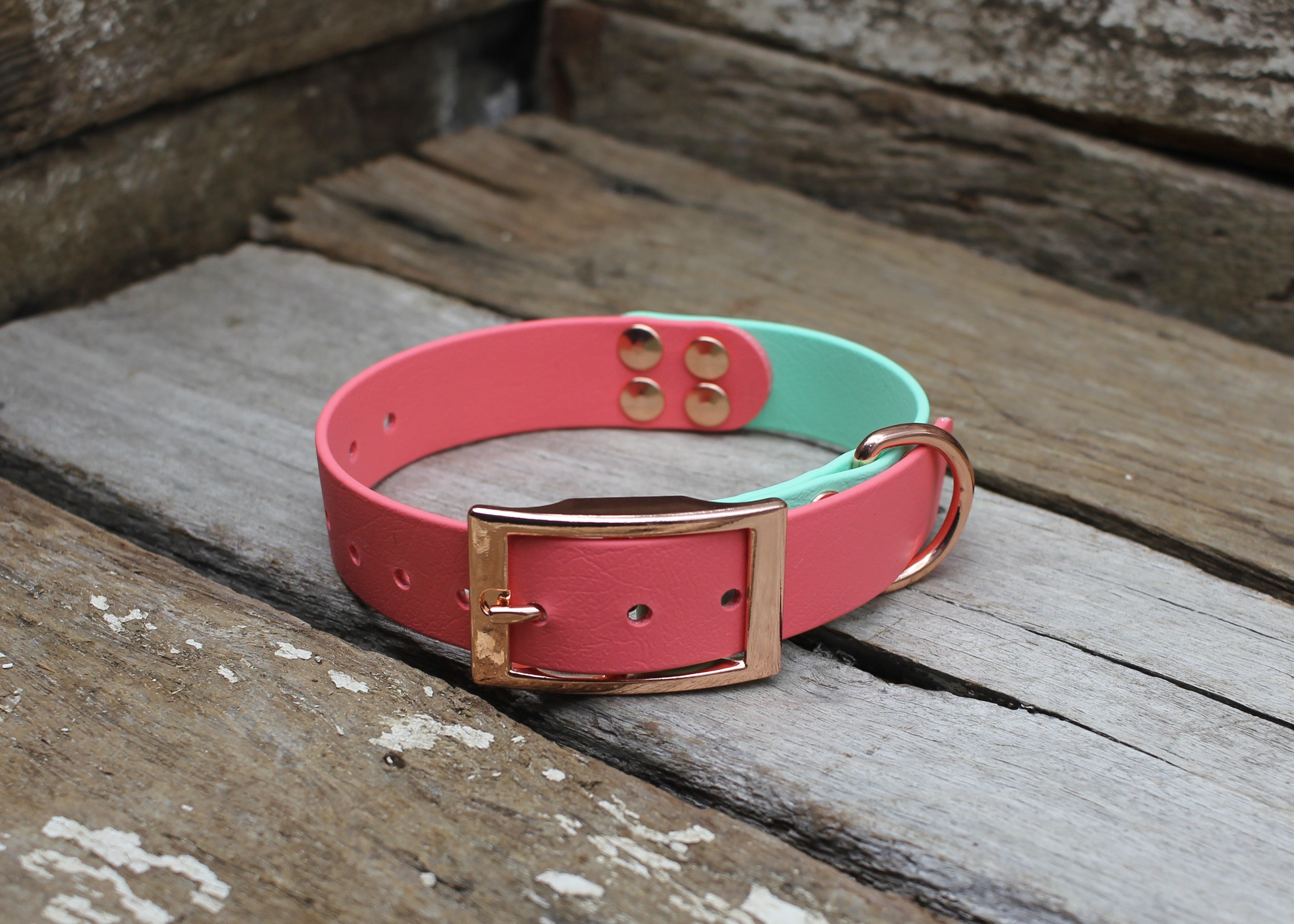 Biothane Collar Two Tone 1" 25mm