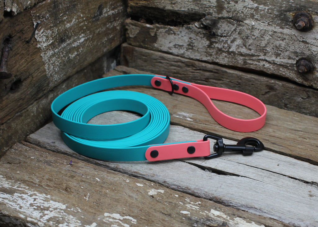 Biothane Long Line Two Tone 3/4" 19mm Waterproof 3m 4m 5m 6m 8m 10m 12m