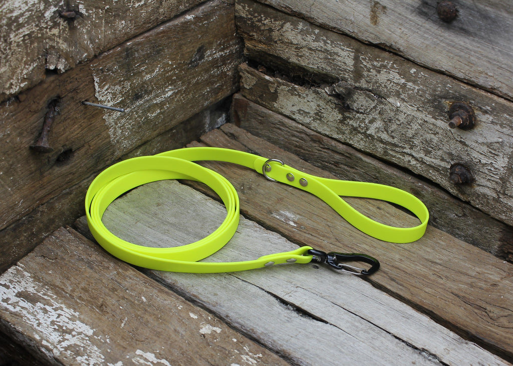Biothane Lead 3/4" 19mm