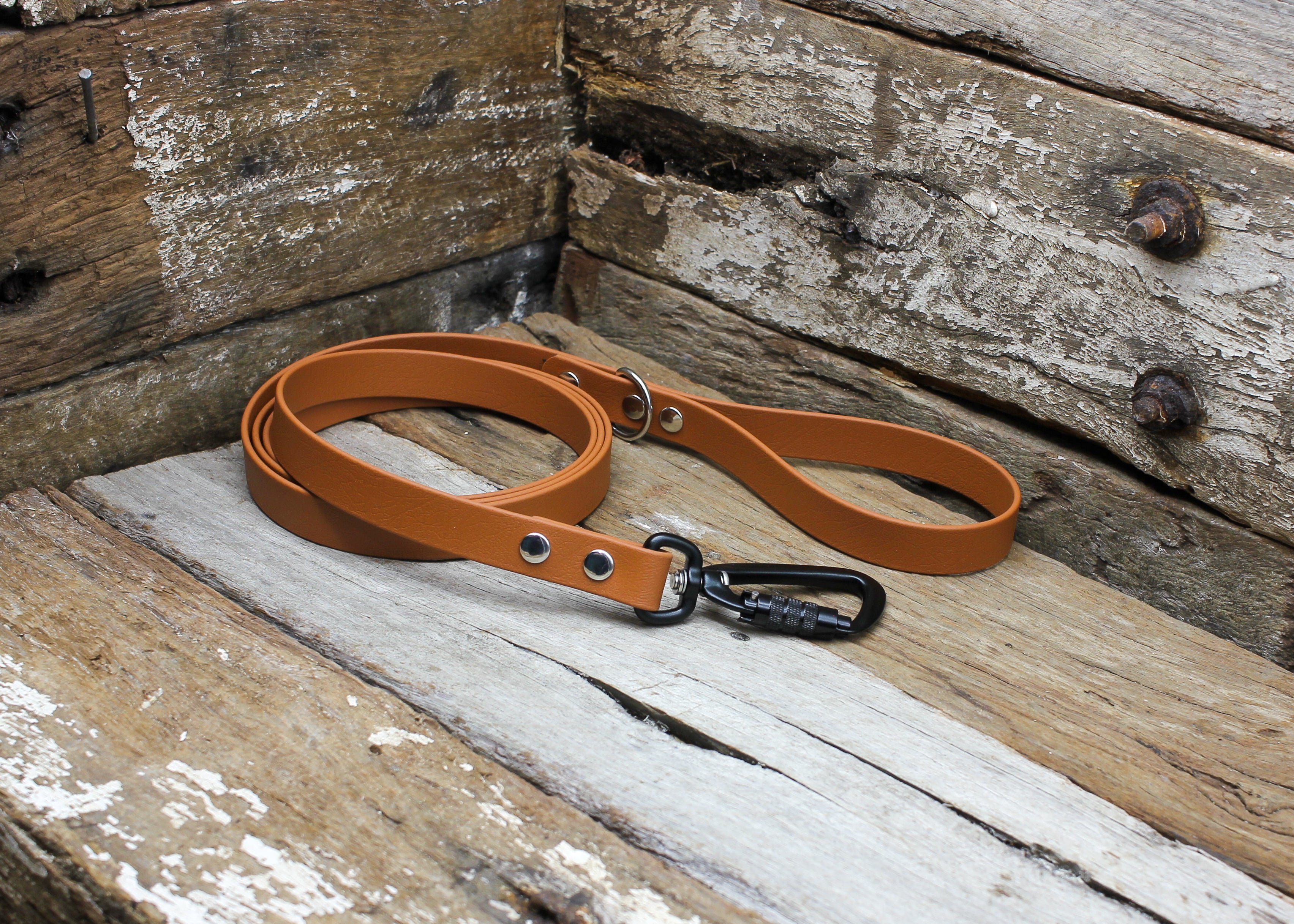 Biothane Lead 3/4" 19mm