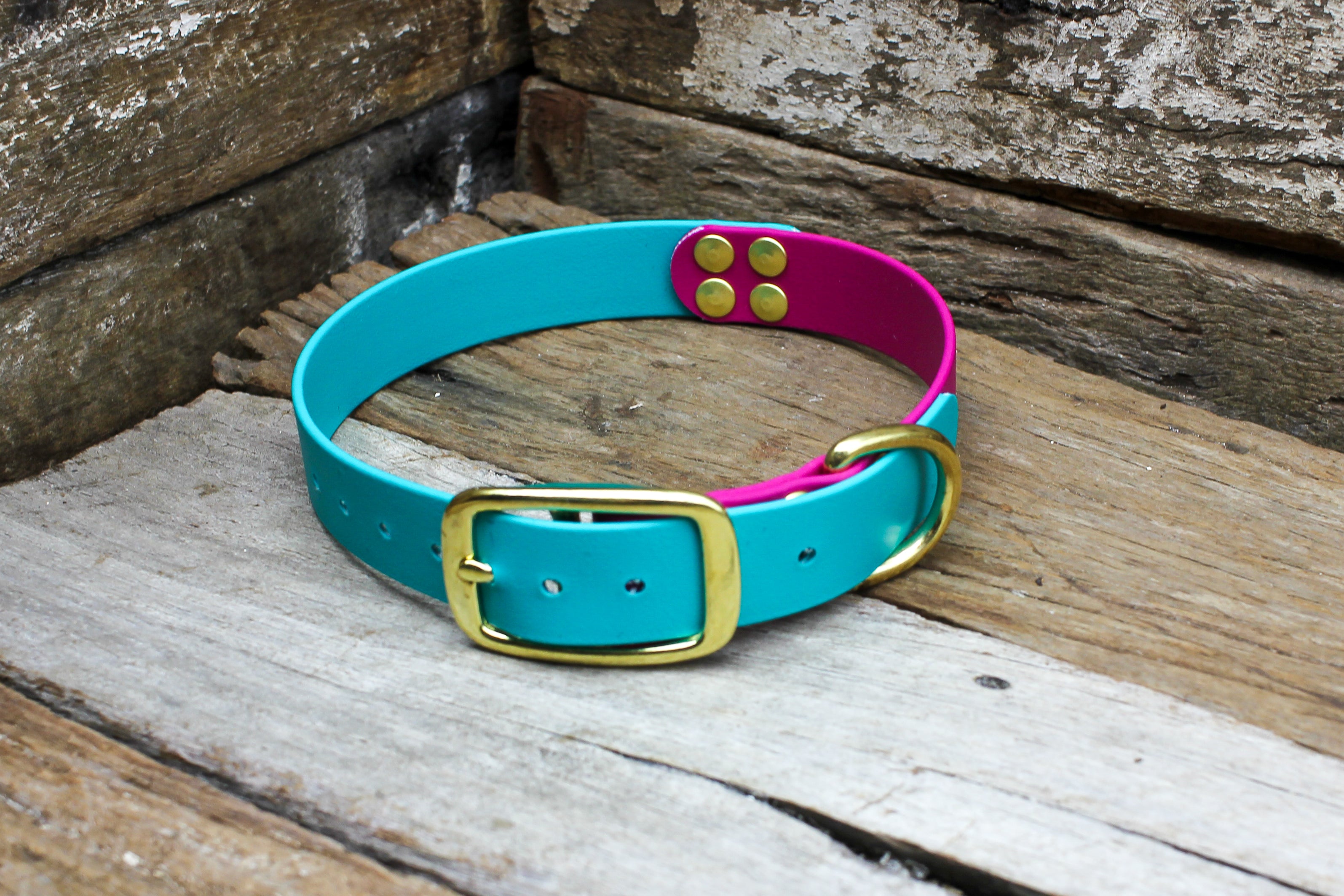Biothane Collar Two Tone 1" 25mm