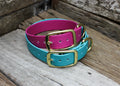 Biothane Flat Collar 1" 25mm