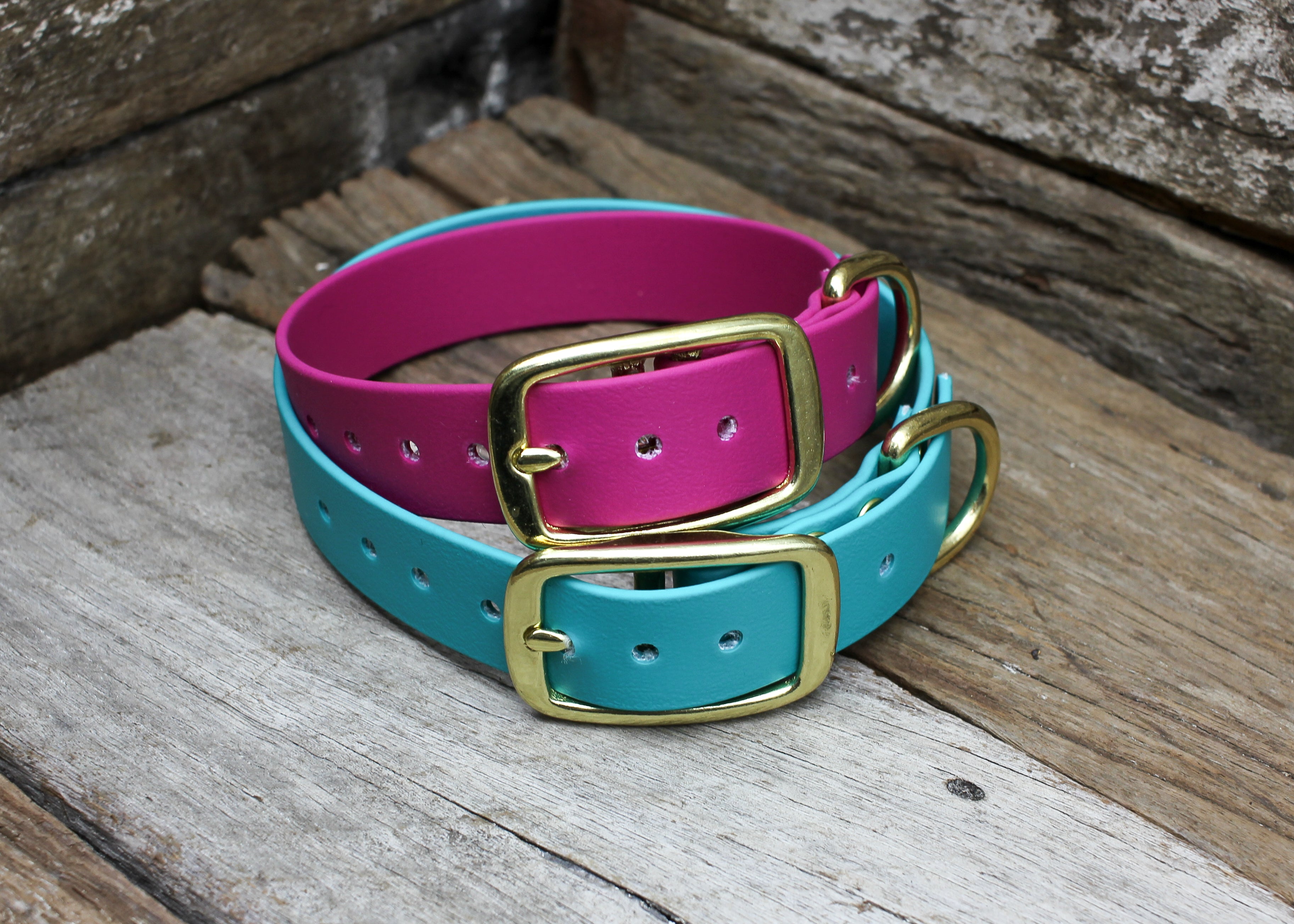 Biothane Flat Collar 1" 25mm