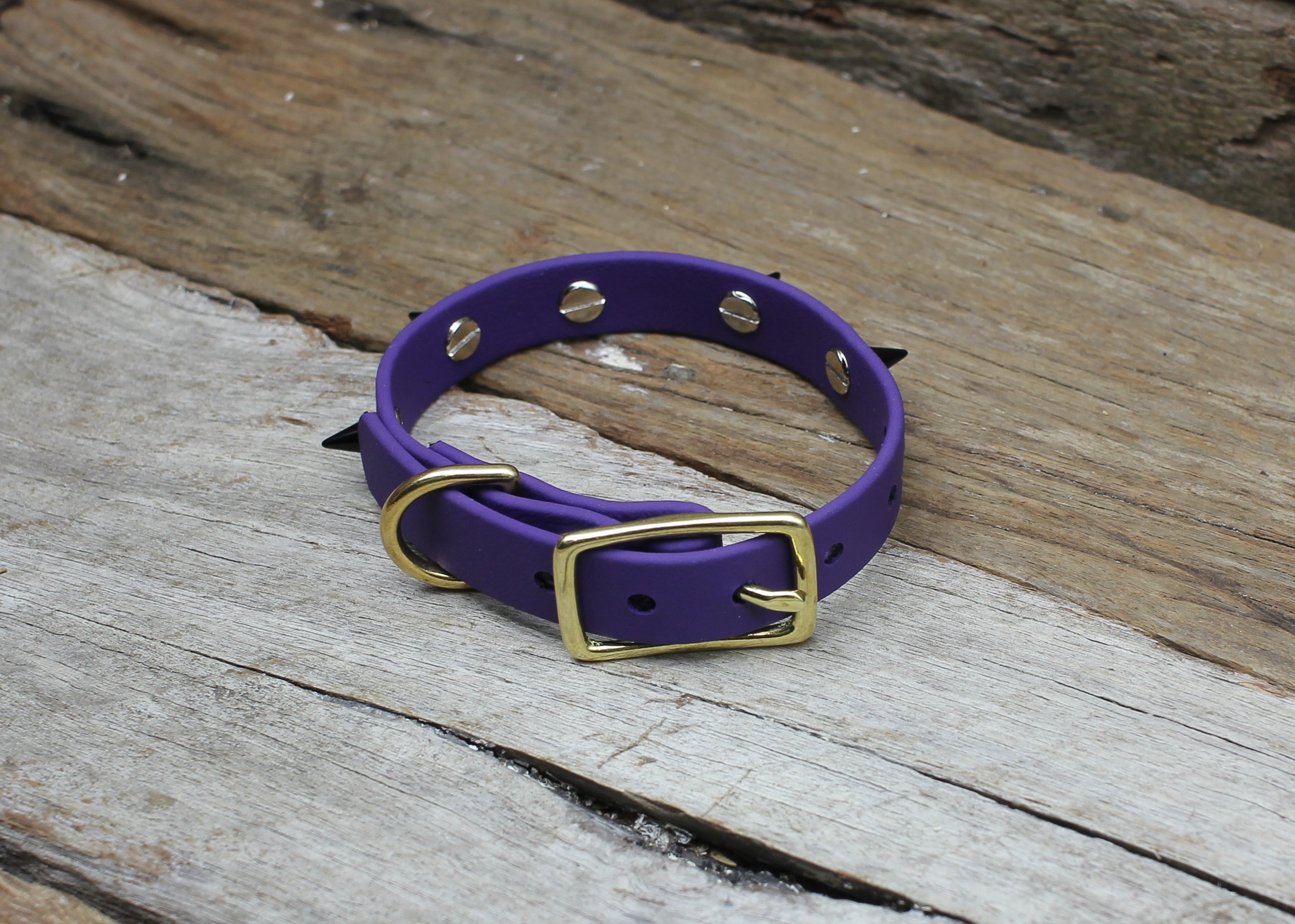 Biothane Collar Spike 1/2" 13mm