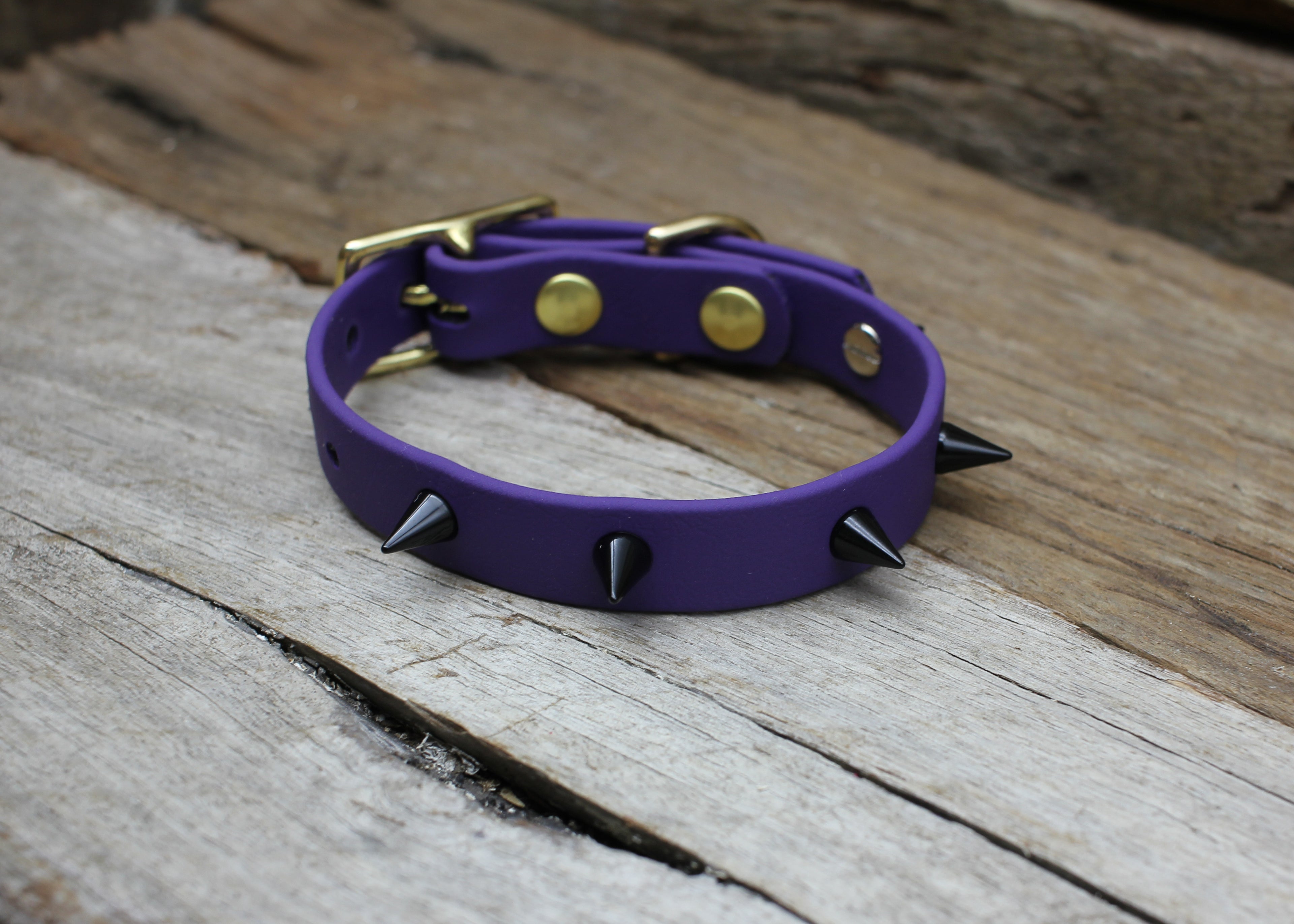 Biothane Collar Spike 1/2" 13mm