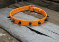 Biothane Collar Spike 5/8" 16mm