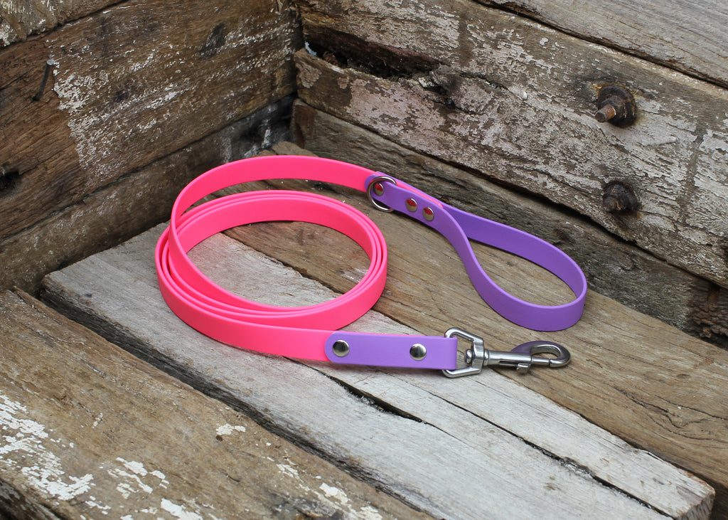 Biothane Lead Two Tone 3/4" 19mm