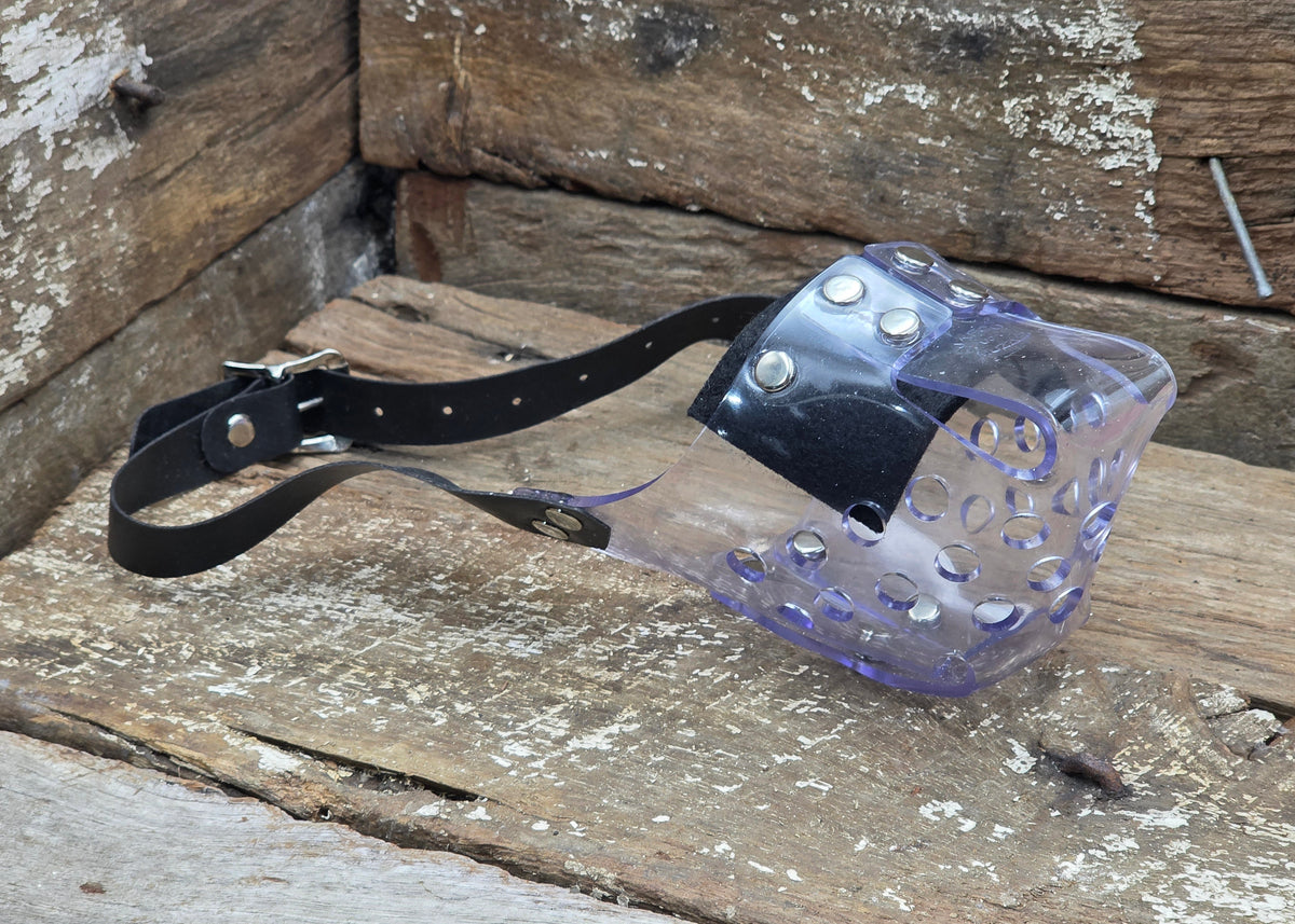 A clear plastic muzzle with a purple tinted face section, black leather strap, and silver metal studs, resting on a rustic wooden surface.