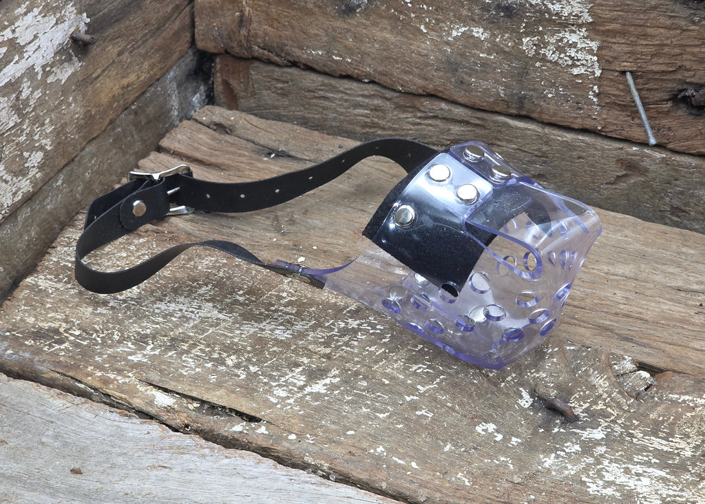 A clear plastic muzzle with a black leather strap and silver metal studs, resting on a weathered wooden surface.