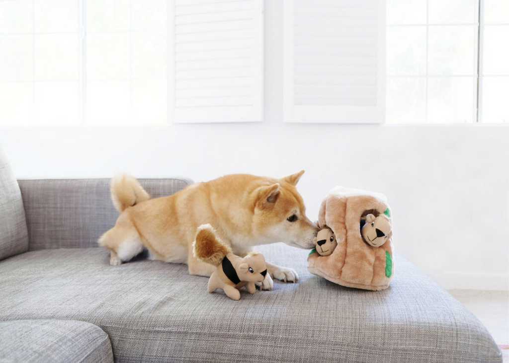 Outward Hound Hide A Squirrel Plush Puzzle Toy - Large