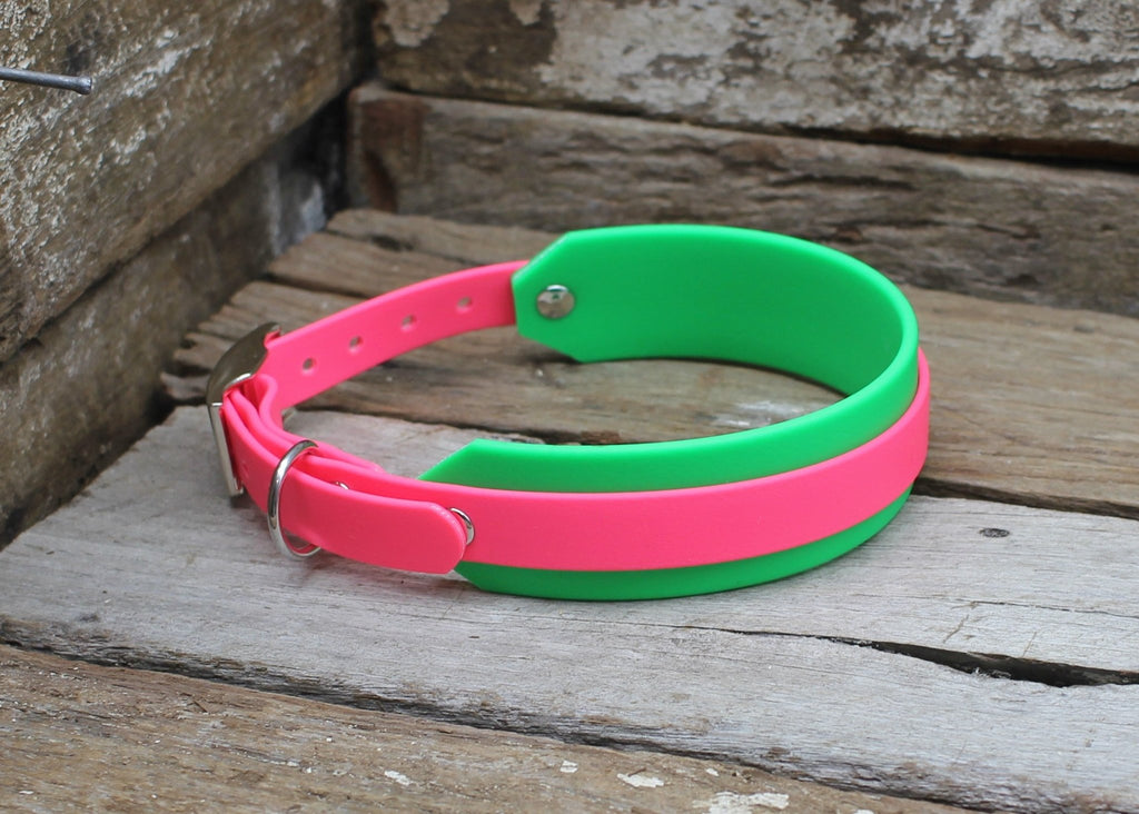 Biothane Collar Dual Layer 3/4" + 1-1/2" - Nextgen Dog Collars