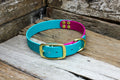 Biothane Collar Two Tone 1" 25mm - Nextgen Dog Collars