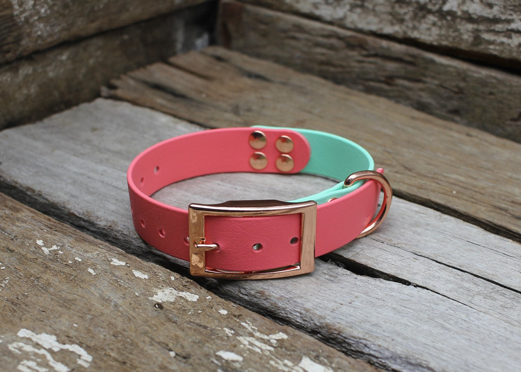 Biothane Collar Two Tone 1" 25mm - Nextgen Dog Collars