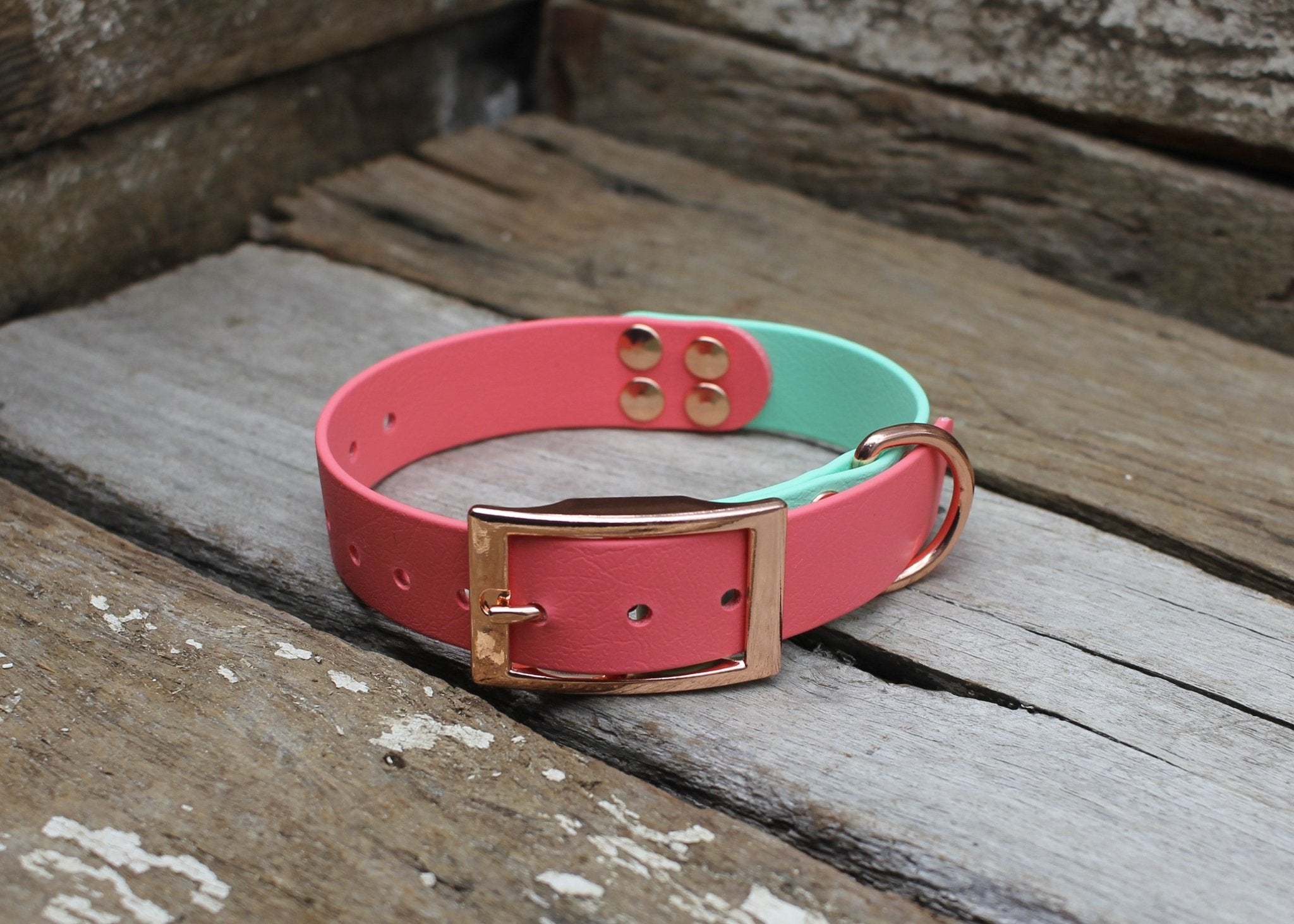 Biothane Collar Two Tone 1" 25mm - Nextgen Dog Collars