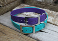Biothane Flat Collar 1" 25mm - Nextgen Dog Collars