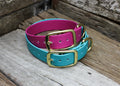 Biothane Flat Collar 1" 25mm - Nextgen Dog Collars