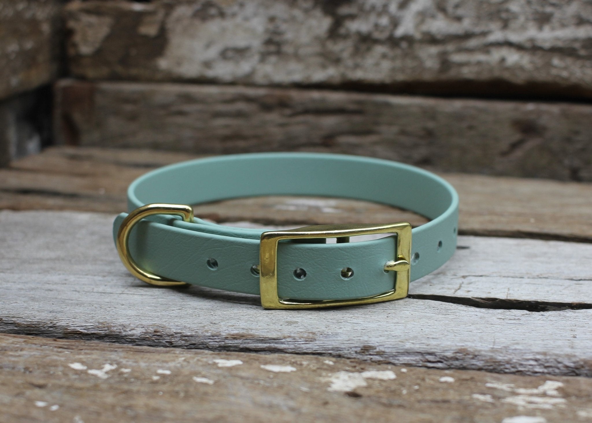 Biothane Flat Collar 3/4" 19mm - Nextgen Dog Collars