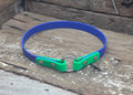 Biothane ID Collar Two Tone 3/4" 19mm - Nextgen Dog Collars