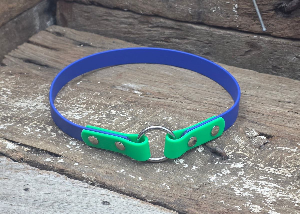 Biothane ID Collar Two Tone 3/4" 19mm - Nextgen Dog Collars