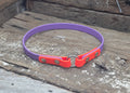 Biothane ID Collar Two Tone 5/8" 16mm - Nextgen Dog Collars
