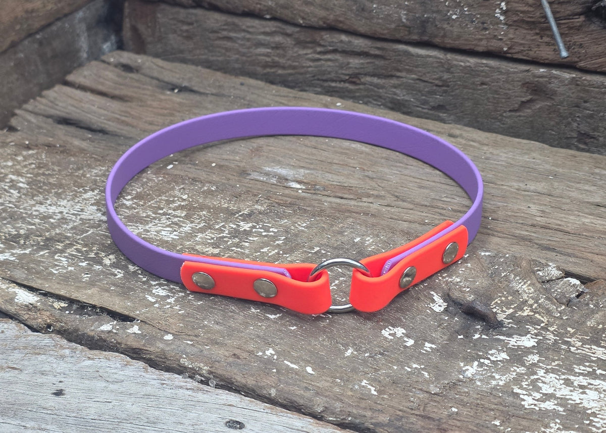 Biothane ID Collar Two Tone 5/8" 16mm - Nextgen Dog Collars