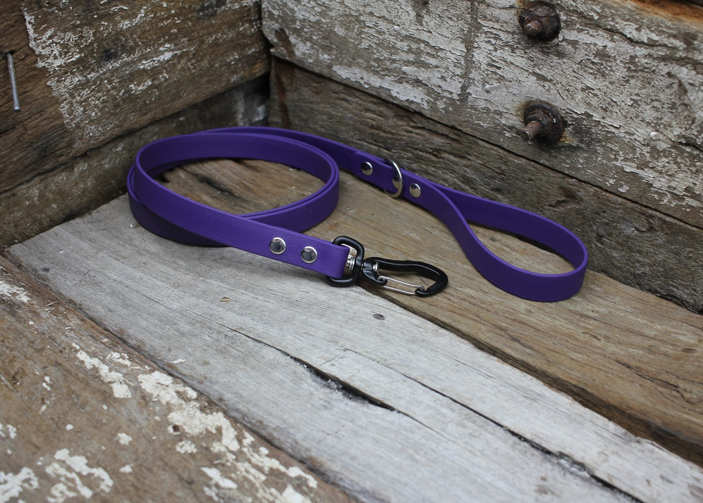 Biothane Lead 3/4" 19mm - Nextgen Dog Collars