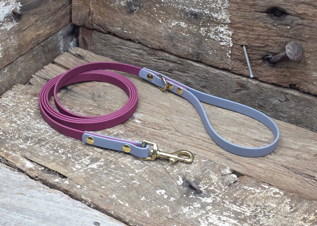 Biothane Lead Two Tone 1/2" 13mm - Nextgen Dog Collars
