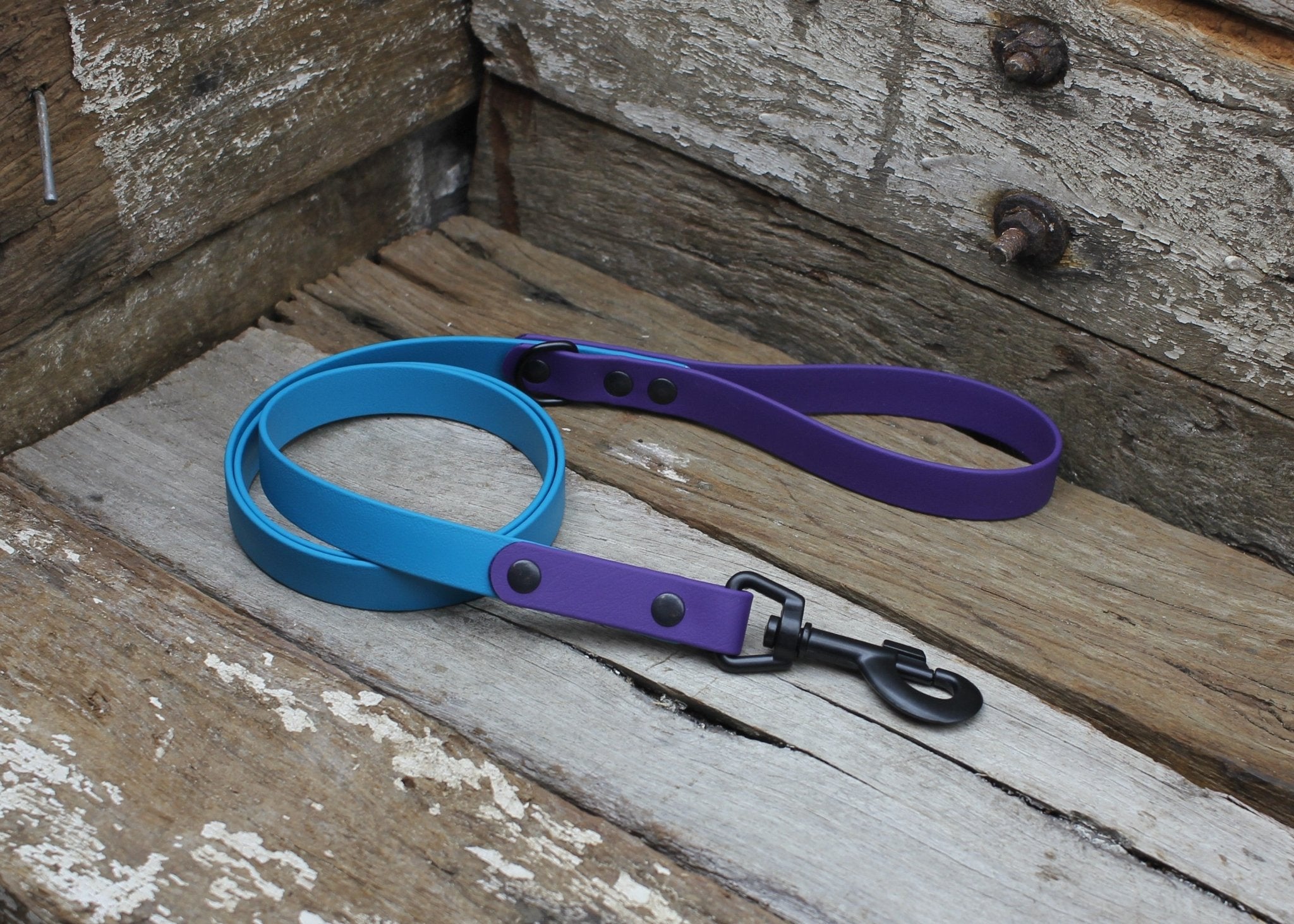 Biothane Lead Two Tone 3/4" 19mm - Nextgen Dog Collars