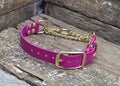 Biothane Martingale Collar 1" 25mm - Nextgen Dog Collars