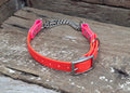 Biothane Martingale Collar Dual Colour 3/4" 19mm - Nextgen Dog Collars