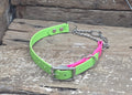 Biothane Martingale Collar Two Tone 3/4" 19mm - Nextgen Dog Collars