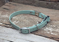 Biothane Replacement Pager Collar Strap 3/4" 19mm - Nextgen Dog Collars