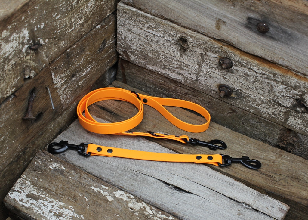 Biothane Safety Backup Lead 3/4" 19mm - Nextgen Dog Collars